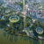 Turenscape - The Huaiyang Fuxi Cultural Park, Henan, China. The site's evolution into a rich, water resilient sponge park. Photo credit: Turenscape