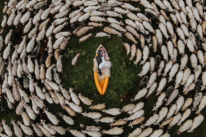 ©Tim Demski - The herd. Location: Łącko (Poland), Drone Photo Awards 2025