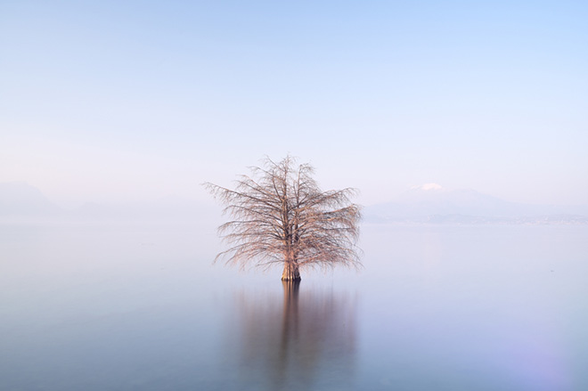 ©Giacomo Feroldi - L'albero sospeso, Location: Sirmione, Lago di Garda. Siena Creative Photo Awards 2025