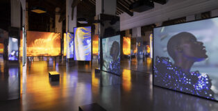Installation view, Isaac Julien, All That Changes You. Metamorphosis, Palazzo Te, Mantova, 4 October 2025 - 01 February 2026 - Credit line: Courtesy the artist, Victoria Miro and Jessica Silverman. © The artist. Photo: Andrea Rossetti / Palazzo Te