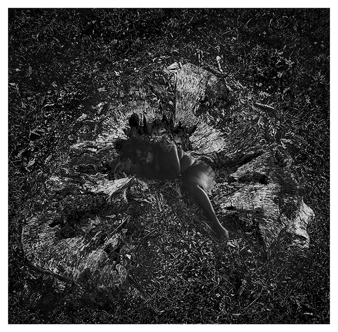©Benita Mayo - Title: Rebirth. Size: 16x24. Year: 2025. Price: 1500$. Medium: Archival Pigment Print