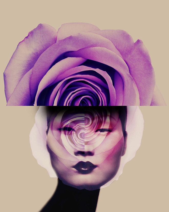 Giovanni Gastel - Flowers 23, 2020