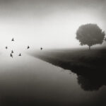 Michael Kenna – IL FIUME PO. Scritture di luce
