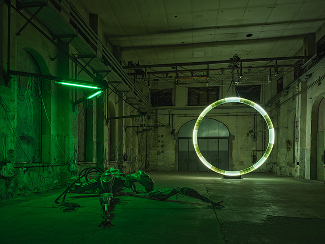 Davide Allieri – 47°24’35’’N / 9°44’20’’E