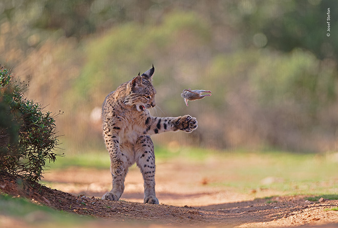 Wildlife Photographer of the Year Nuveen People’s Choice Award 2026