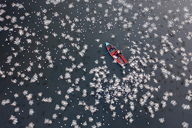 International Aerial Photographer of the Year Awards – Gli scatti vincitori della II edizione