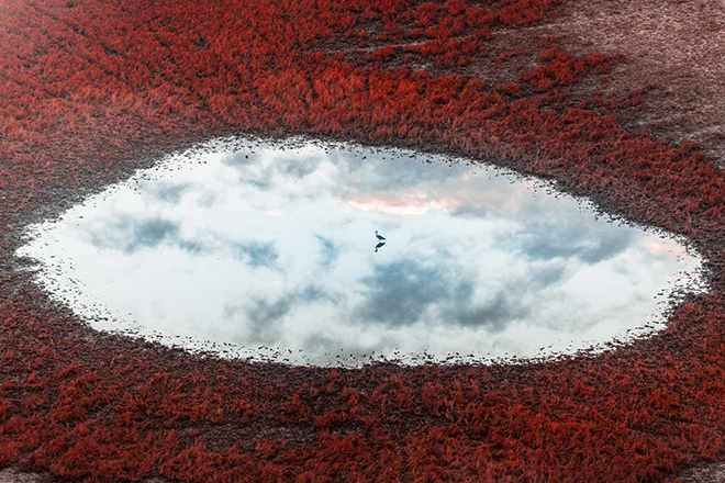 Birdie in the Sky by Vitaly Golovatyuk, Russian Federation / The 2nd International Aerial Photographer of the Year. 1st Place 2026 International Aerial Photograph of the Year