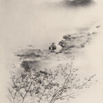 Light & Magic: The Birth of Art Photography – Tate Modern