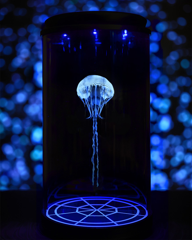 Andrea Crespi, THETIS 5. Courtesy: One Ocean Foundation e ZEITGEIST19. Installation view Andrea Crespi, THETIS 5. Courtesy: One Ocean Foundation e ZEITGEIST19. Installation view