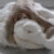 Berlinde de Bruyckere - "Knoop 2026" (detail), 2026, wax, textile, iron, polyutherane, dacron, epoxy. Photo: Mirjam Devriendt
