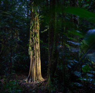 Fritz Pölking Prize 2026: Michiel van Noppen e Tobias Gjerde  sono i fotografi premiati