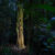 GDT EWPY 2026, Fritz Pölking Prize, Michiel van Noppen. Tales of the Forest Keepers: Safeguarding a Fragile Bond