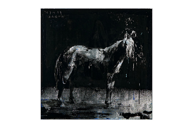 Gonzalo Borondo - Cavallo nero, 2026, acrilico e foglia argento su vetro, 95 x 95 cm. Foto: Federico Beccari Gonzalo Borondo - Cavallo nero, 2026, acrilico e foglia argento su vetro, 95 x 95 cm. Foto: Federico Beccari