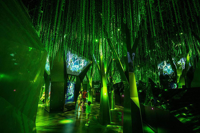 GSM Studios - Exploria, Mandai Wildlife Reserve, Singapore. Infinite Wonderland: From tropical rainforests to coral reefs, the planet’s most biodiverse ecosystems are celebrated through a kaleidoscopic journey that moves from the sky down through forest canopies and into the depths of the ocean. Photo credit: Mandai Wildlife Group GSM Studios - Exploria, Mandai Wildlife Reserve, Singapore. Infinite Wonderland: From tropical rainforests to coral reefs, the planet’s most biodiverse ecosystems are celebrated through a kaleidoscopic journey that moves from the sky down through forest canopies and into the depths of the ocean. Photo credit: Mandai Wildlife Group