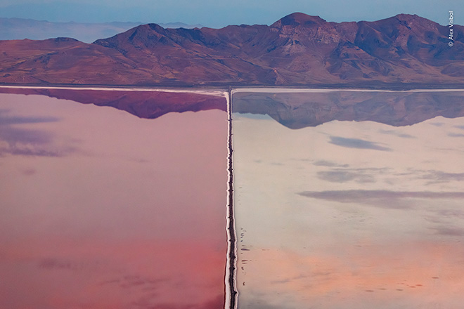 ©Alex Visbal, Colombia - Il grande divario, Stansbury Bay, Great Salt Lake, Utah, USA. Vincitore zone umide: visione d'insieme, Wildlife Photographer of the Year 2026