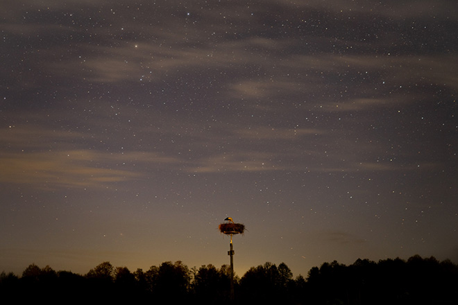 ©Marek Jóźwik - After the Sunset, Dolistowo Stare (Poland). 1st classified Under 20, Siena International Photo Awards 2026