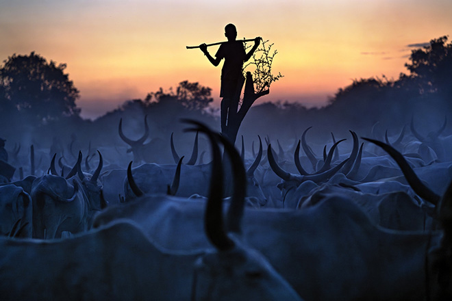 ©Alessandro Bergamini - Guardian of the Cattle, South Sudan. 3rd classified, Journeys and adventures, Siena International Photo Awards 2026