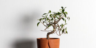 Ugo La Pietra: Casa e natura: architettura/natura. Bosco in città, Terracotta modellata a mano (artigiano Sandro Da Boit) 35x16x16 cm 2015. Photo: Renato Ghiazza, courtesy: Astuni