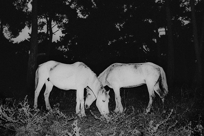 Erdem Varol - WHAT MOVES US
