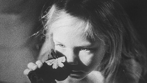 STILL IMAGE. Fotografie di Jessica Lange STILL IMAGE. Fotografie di Jessica Lange